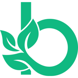 Branchcast Logo